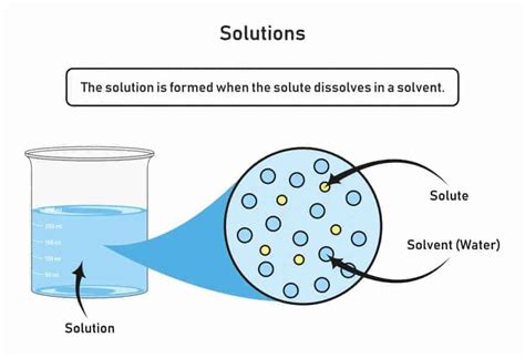 Solvent Phase Diagram Database Solvent Solute Chemical React