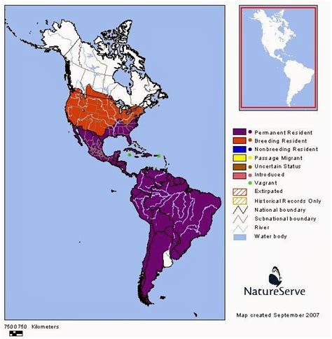 Turkey Vultures | Science Fun