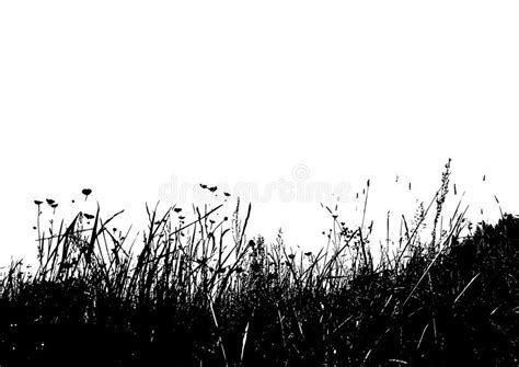 Vector grass. Black and white vector grass using as background , #Aff ...