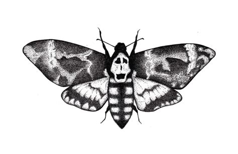 the Symbolism of the Moth in "Silence of the Lambs"