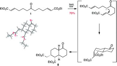 Synthesis of natural-product-like scaffolds in unprecedented efficiency ...