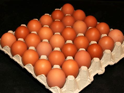 Tray of 30 Large Eggs – Springwood Meats