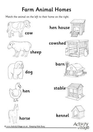 Animals And Their Homes Coloring Pages - AsiailOrozco