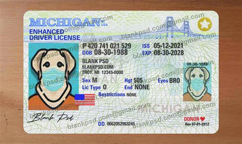 Free michigan drivers license template - idonsa