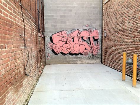 Dead End Graffiti | Mike the Mad Biologist