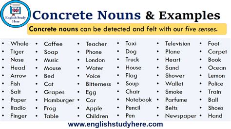 Concrete Nouns & Examples - English Study Here