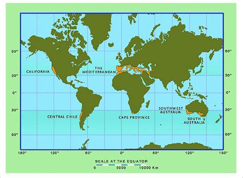 | Global distribution of Mediterranean-climate regions. From Rundel et ...