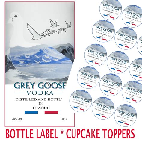 The original grey goose logo - lokipara