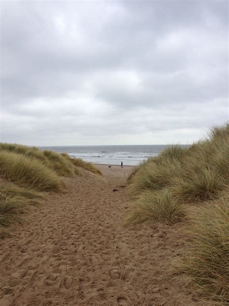 Warkworth beach & dunes | Country roads, Weekends away, Northumberland