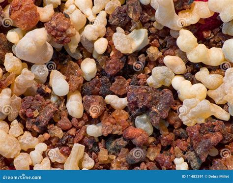 Frankincense And Myrrh Stock Image - Image: 11482391