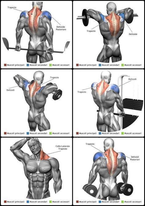 7 Muscle-Building Shoulder Exercises To Build Strong 3D Shoulders - GymGuider.com ...