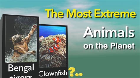 The Most Extreme Animals on the Planet! - YouTube