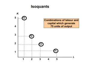 Isoquant Curve Example & Marginal Rate of Technical Substitution – Home Deco