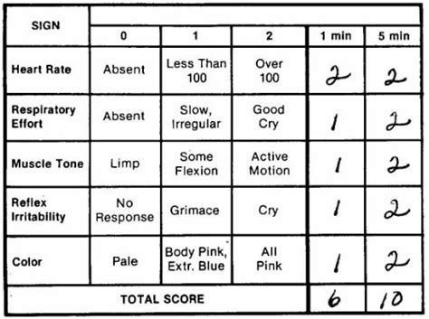 8.03 Virginia Apgar Scoring of the Newborn - Obstetric and Newborn Care II