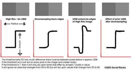 Downsampling High Resolution photography scans for use in image databases