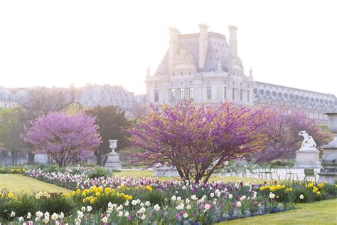 TUILERIES GARDEN PART 2 – SPRING AND SUMMER — Parisian Moments