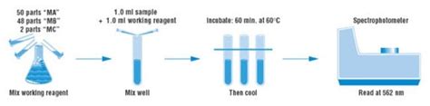 Micro BCA™ Protein Assay Kit