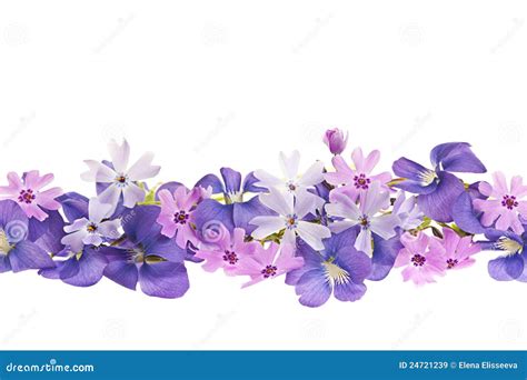 Violet Flower Border Clip Art