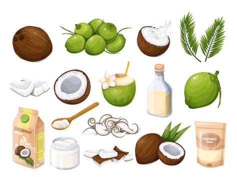 Premium Vector | Coconut products