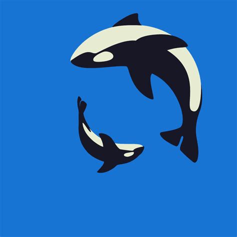 Great Animated Orca And Killer Whale Gifs at Best Animations