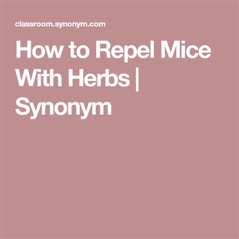 How to Repel Mice With Herbs | Synonym | Mice repellent, Herbs