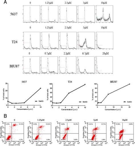 Apoptosis analysis by flow cytometry. A, flow cytometric analysis of ...