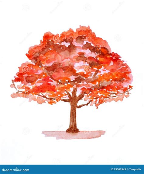 Autumn Tree Illustration. Watercolor Painting Stock Illustration - Illustration of flora ...