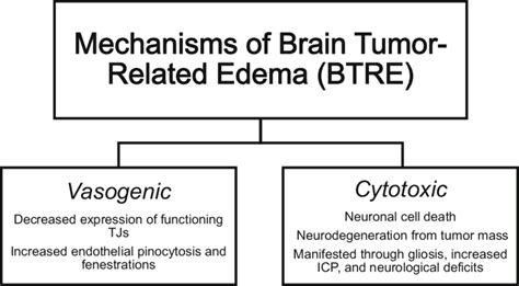 Brain tumor-related edema (BTRE) is due to either vasogenic or cyotoxic... | Download Scientific ...