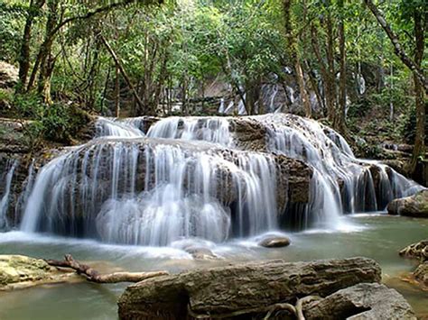 Khuean Srinagarindra National Park | Easy Day Thailand Tours