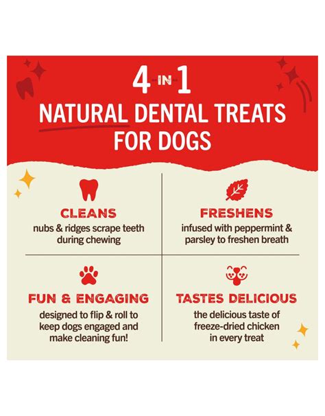 STELLA & CHEWY'S Dental Delights Dog Treats Small - The Fish & Bone