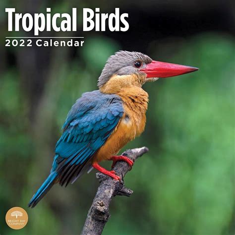 Tropical Birds 2022 Calendars