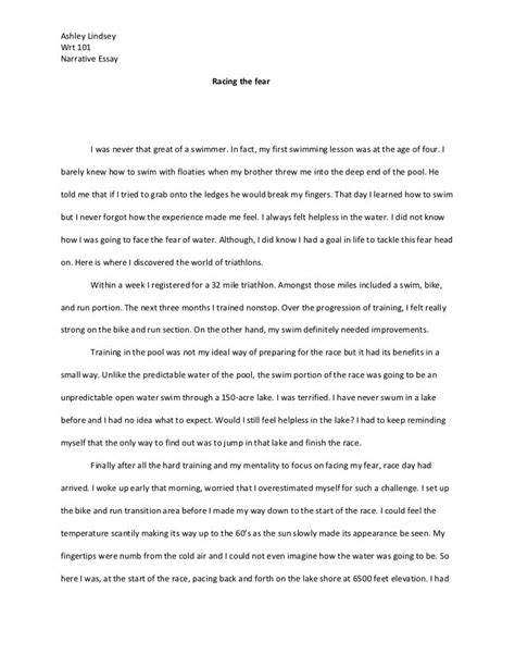 Portfolio essay i