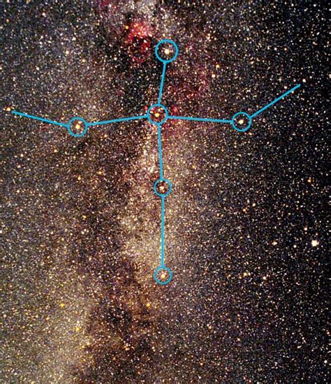 Constellation CYGNUS. The Southern Cross is within this constellation ...