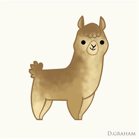 Alpaca Drawing at GetDrawings | Free download