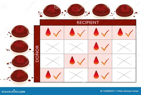 Blood Groups Universal Donor Recipient Transfusion Chart Stock Vector - Illustration of medicine ...