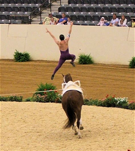 Equestrian Vaulting 2014 - Home