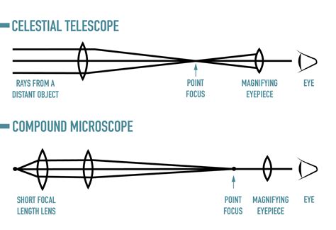 Teleskop vs mikroskop: Hvad er forskellen? | Onyx