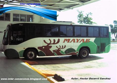 INTER ♦ CONEXIONES: AUTOBUSES MAYAB