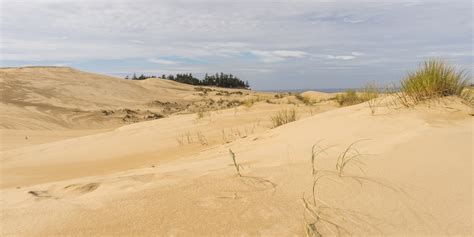 Guide to the Oregon Dunes National Recreation Area | Outdoor Project