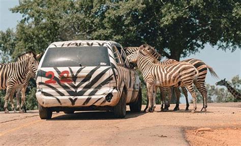 Safari Park | Safari Georgia | Drive Through Zoo