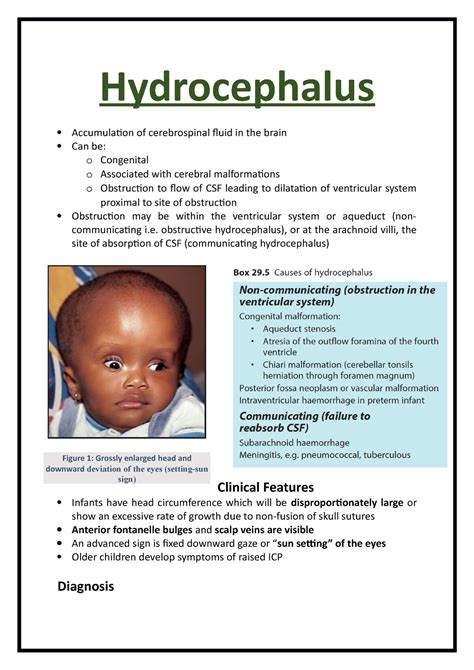 Hydrocephalus - Hydrocephalus Accumulation of cerebrospinal fluid in the brain Can be: o - Studocu