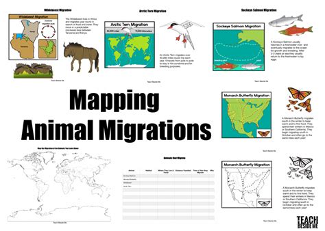 Mapping Animal Migrations - Teach Beside Me