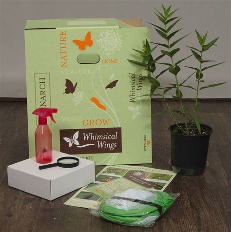 The Best Butterfly Kits - Top Butterfly Growing Kits