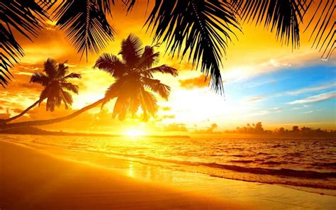 Tropical Island Sunset Wallpaper - WallpaperSafari