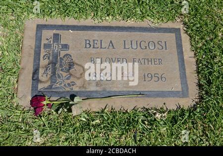 Bela Lugosi grave at Holy Cross Catholic Cemetery, Culver City, Los ...