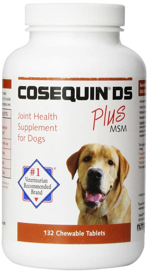 56 Most Popular Dog Supplements – Top Dog Tips