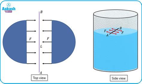 Surface Tension: Definition, Causes, Measurement & Formula | AESL