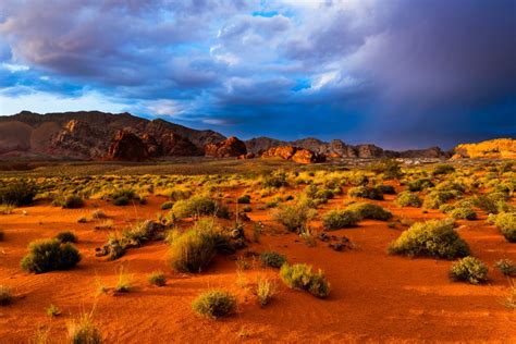 Nevada Desert Archives - Jeremiah Barber Photography