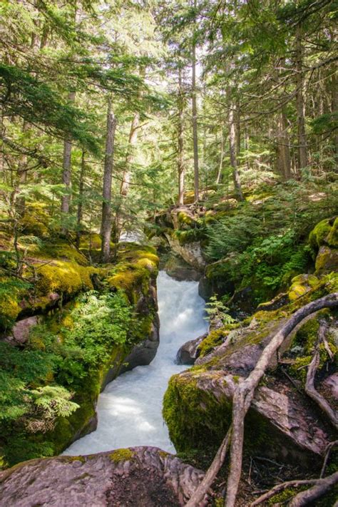 Photography @ Avalanche Lake Trail at Glacier NP | Sidecar Photo