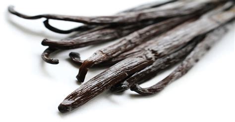 Buy Vanilla Beans - Bulk - Wholesale | Beanilla